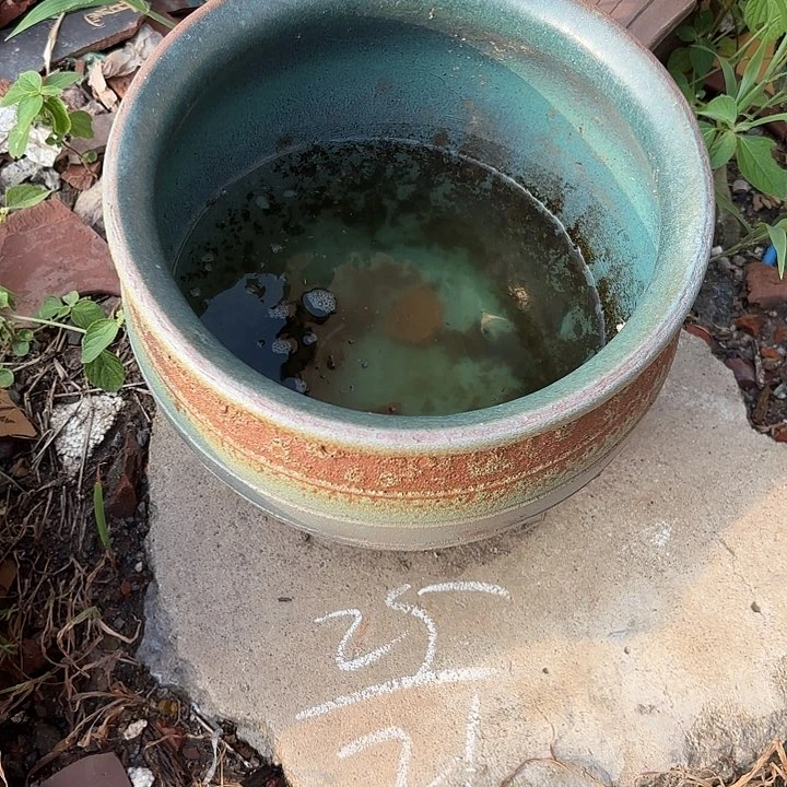 紫砂花盆紫砂等珍贵