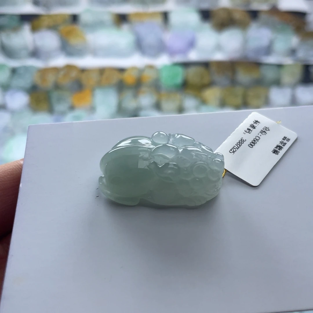 翡翠未镶嵌颈饰貔貅