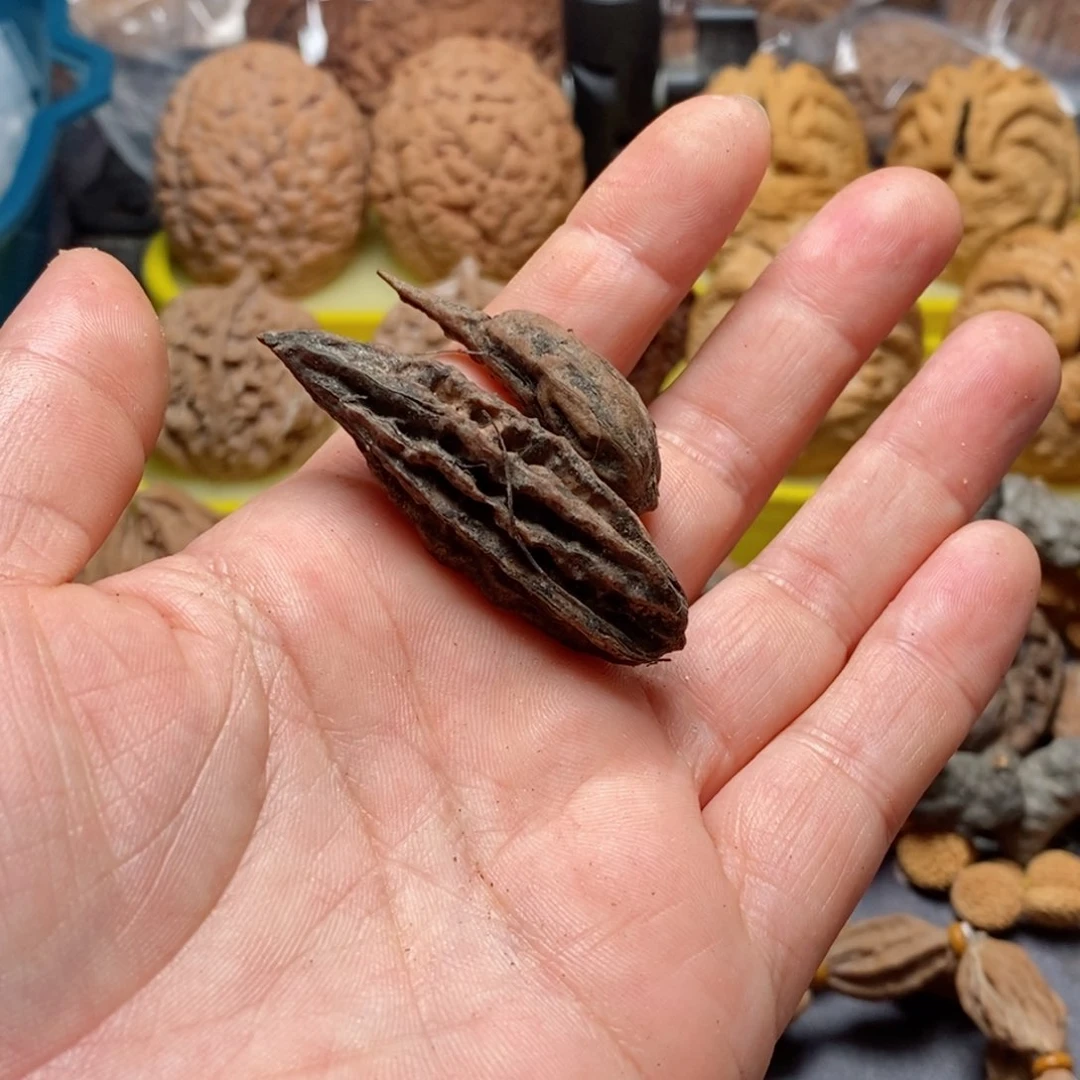 文玩核桃吊坠刚****h核桃51