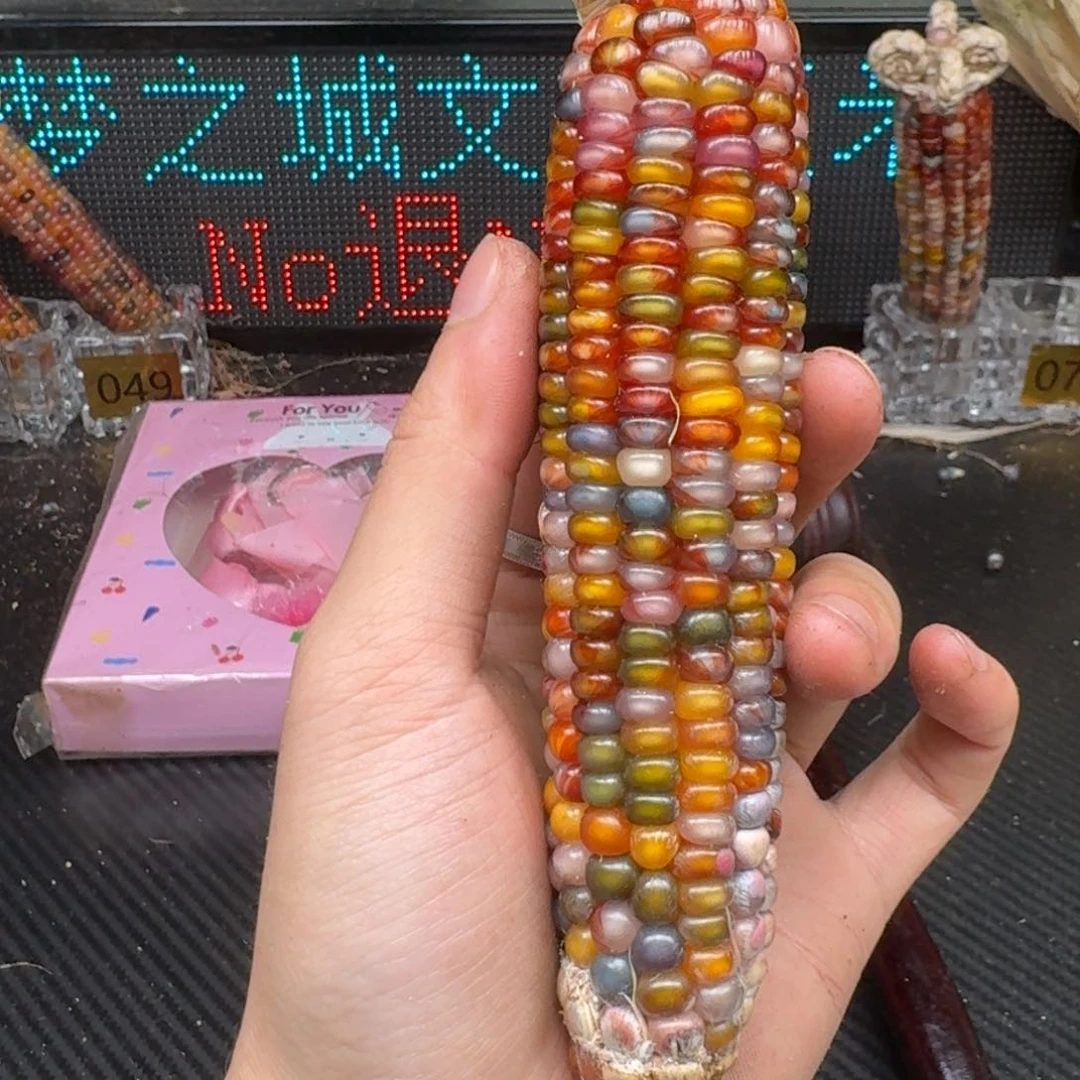 柏香籽/百香籽吊坠酒*