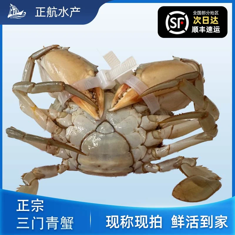 【7】三门青蟹小娘蟹改价现称链接(请勿抢拍)请勿放冰箱