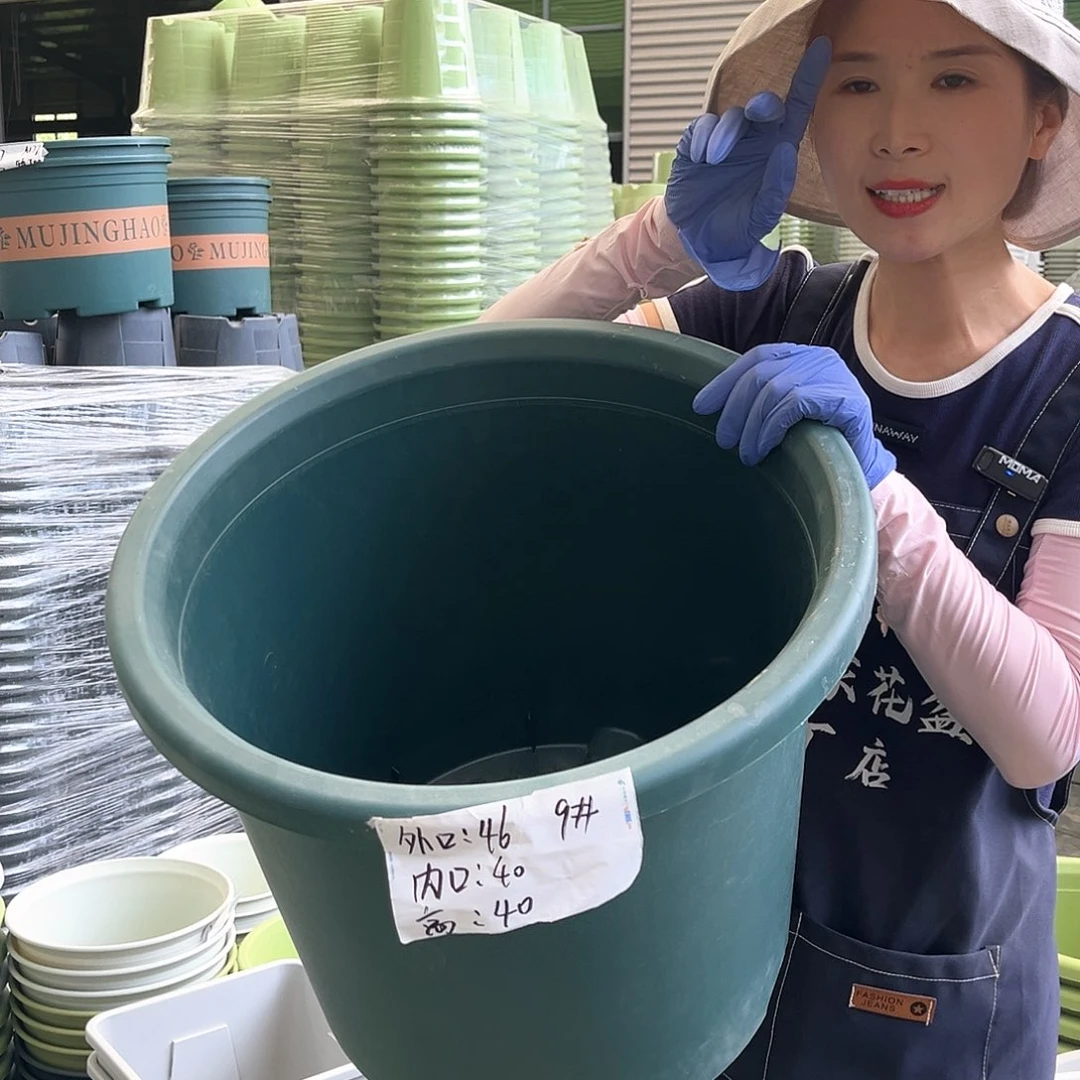 四季盆9#墨绿色4个无托