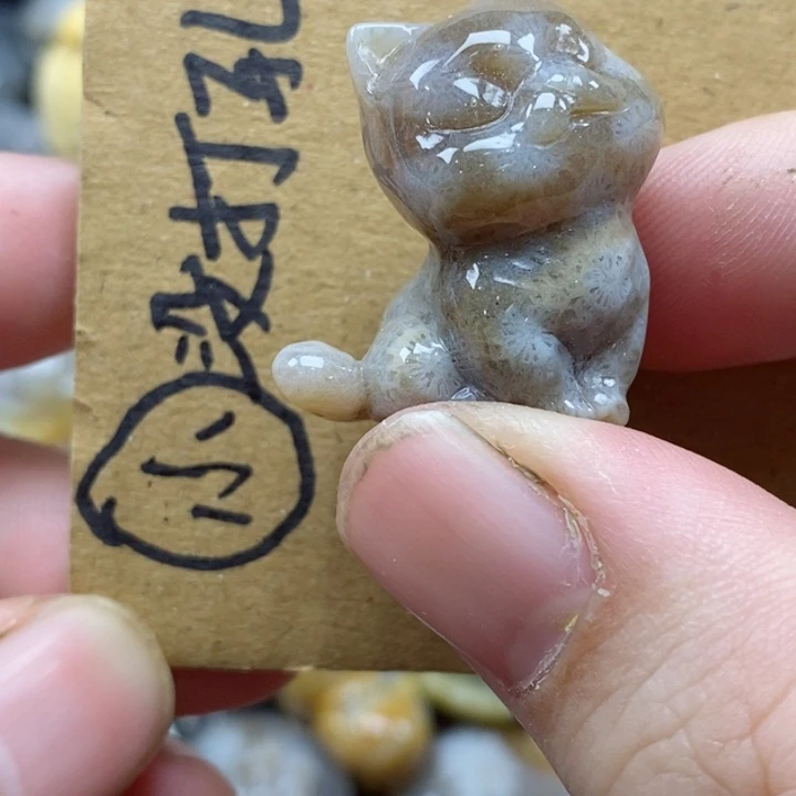 颈饰未镶嵌硅化珊瑚（珊瑚玉）