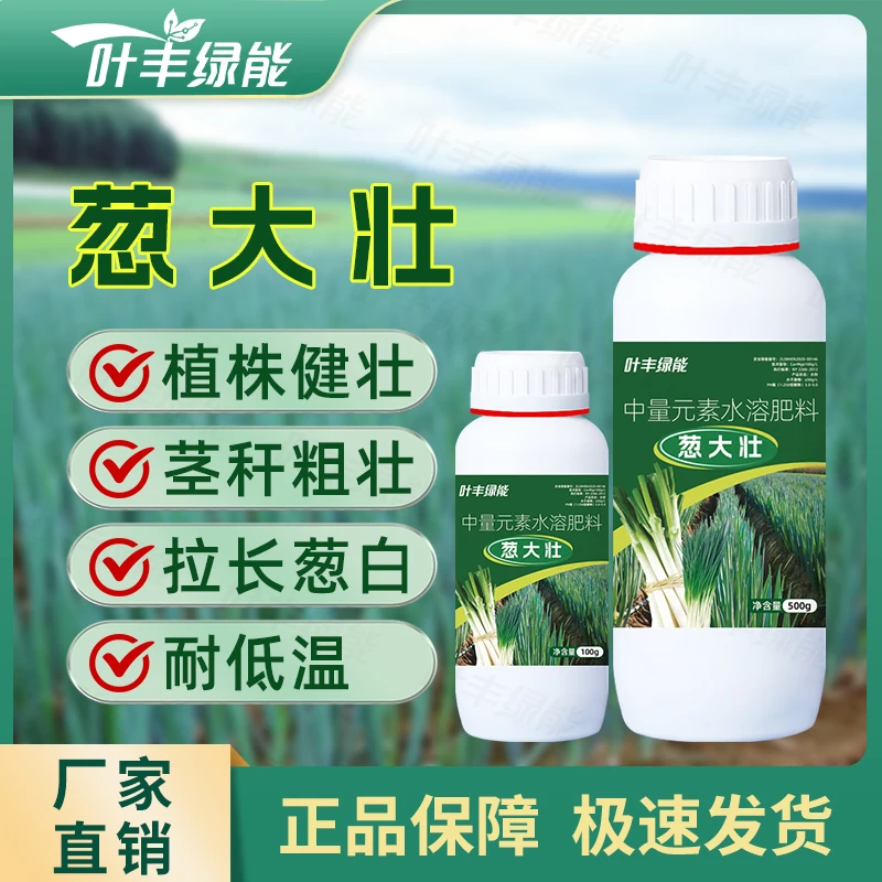 叶丰绿能葱大壮拉长葱白茎秆粗壮健壮植株耐低温中量元素水溶肥料