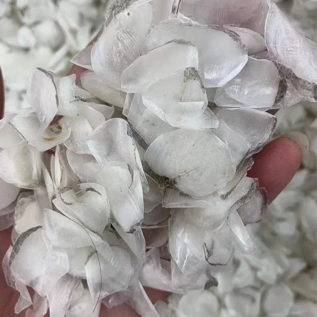 赤嘴鳘鱼鳞阳江自晒可煲汤煲水做鱼鳞冻 新鲜现晒发出不退