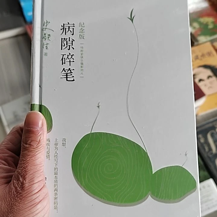 病隙碎笔病隙碎笔