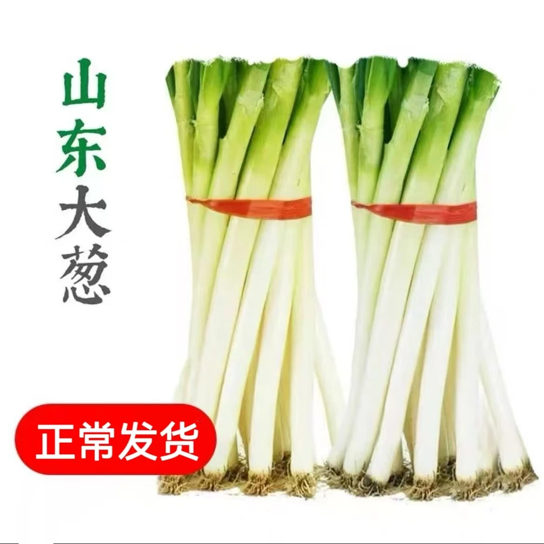 【去叶大葱】一级山东正宗新鲜铁杆大葱产地直发甜脆蔬菜