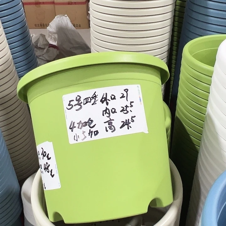 特价5号四季盆白色无托6只