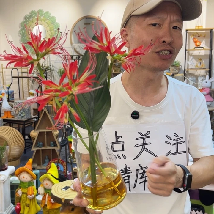 摆件哈哈哈哈哈哈哈哈哈