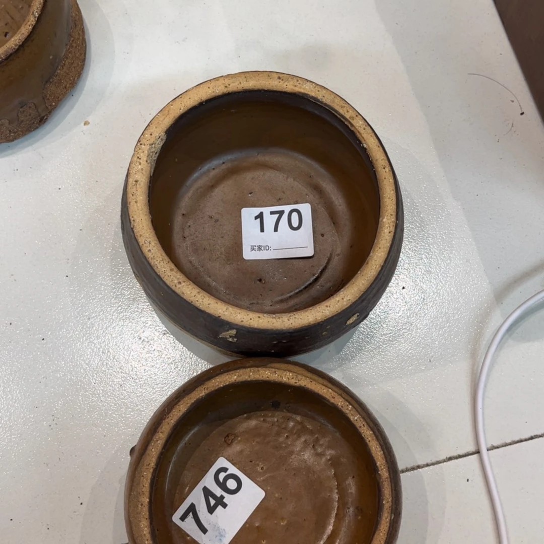 龙***社1开播福利一物一拍170好和746瑕丝