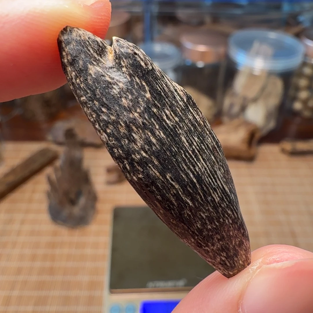 沉香香港大屿山棋韵瓜子