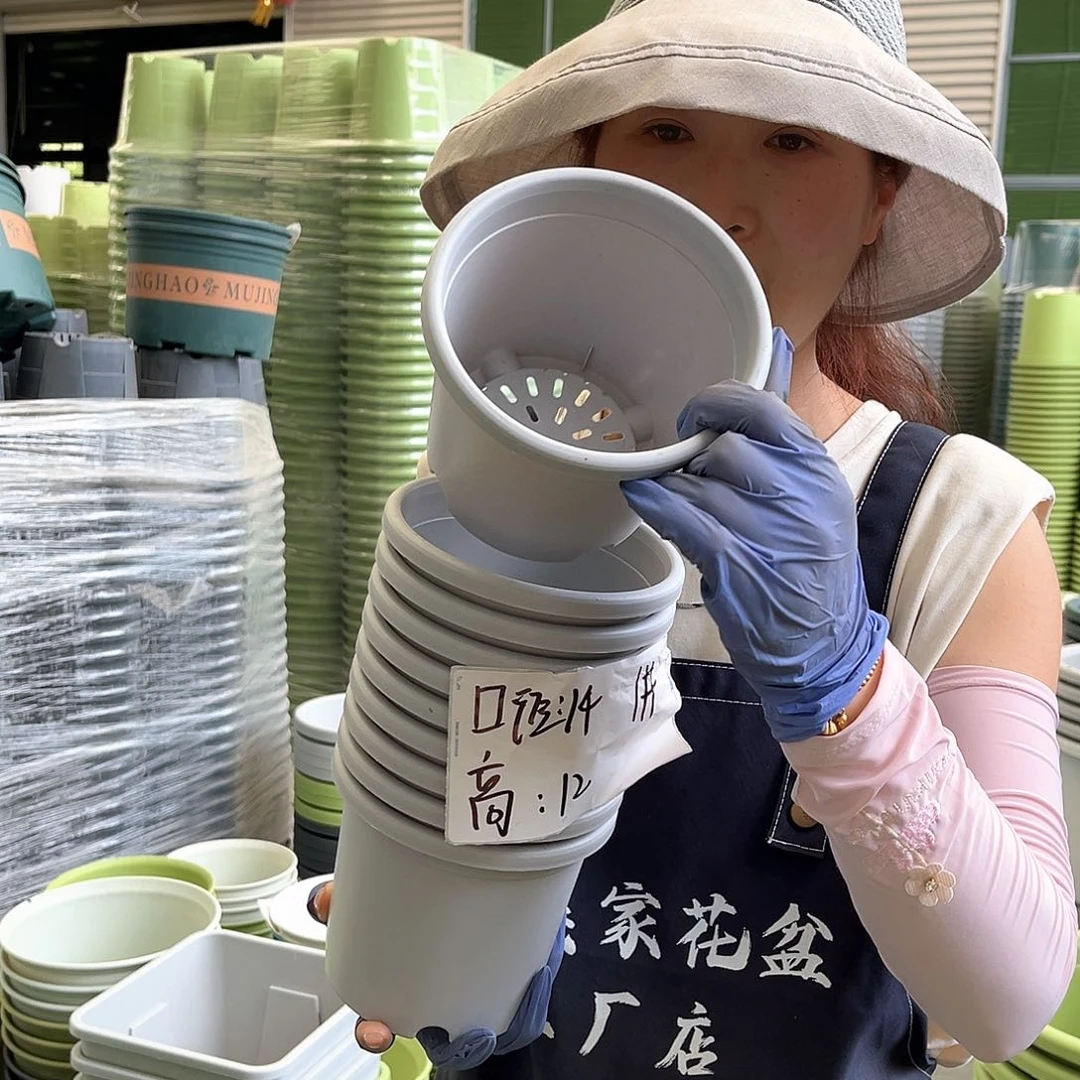 四季盆1#灰白色10个无托
