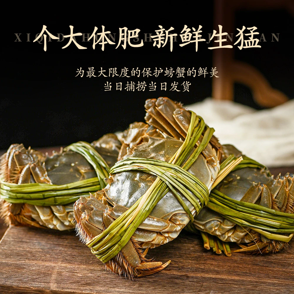 贤民八个活蟹 公蟹5-4.7两 母蟹4-3.7两 4对8只送2只顺丰冷链鲜达
