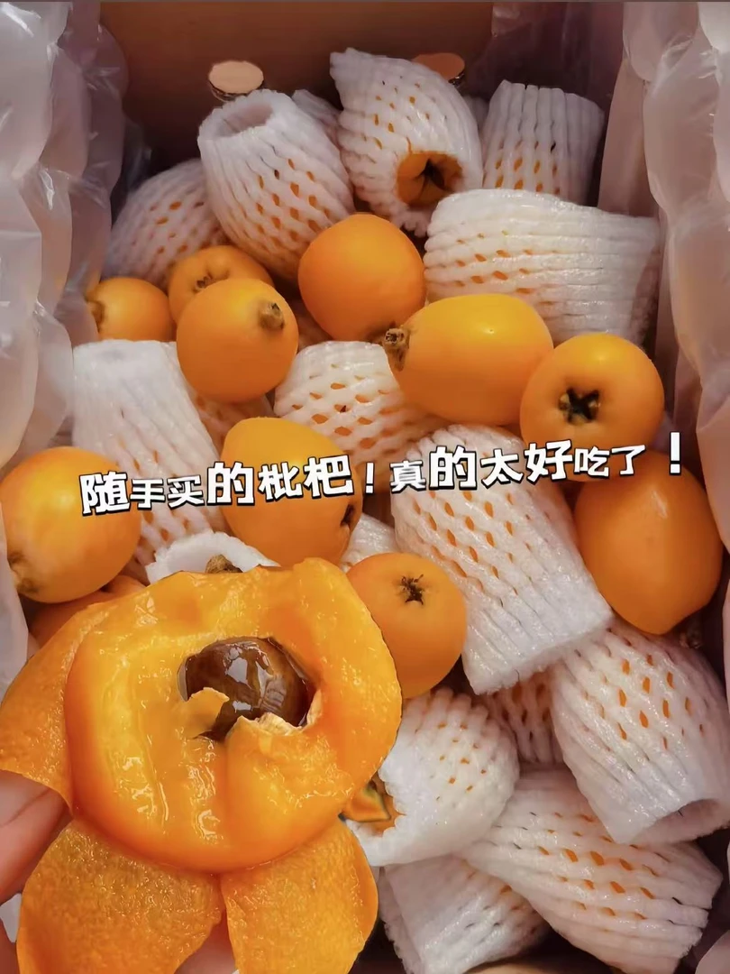 云南蒙自高原枇杷
