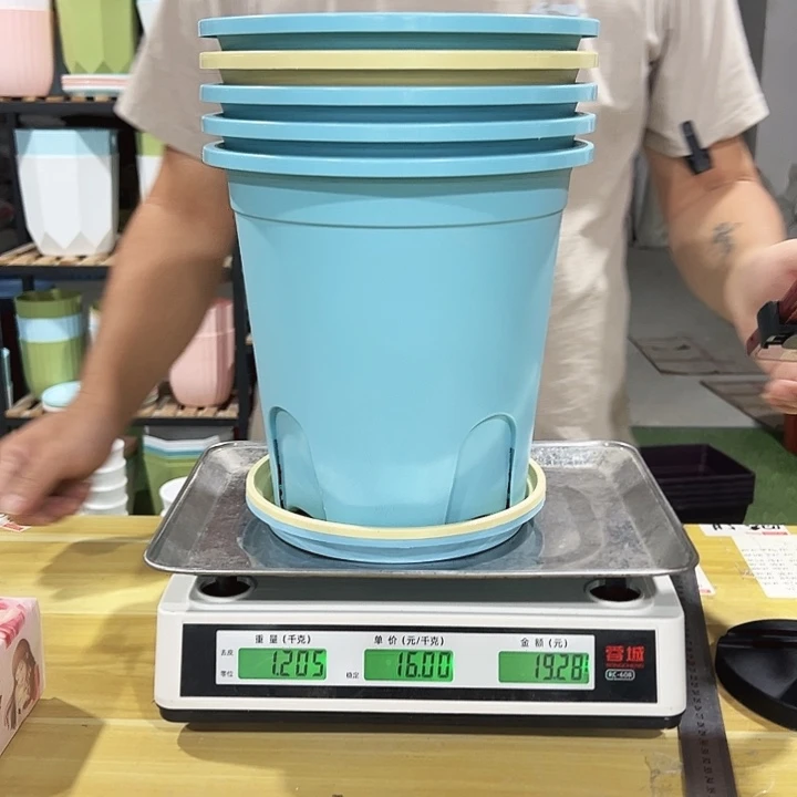 圆控口24高24混色5个带托