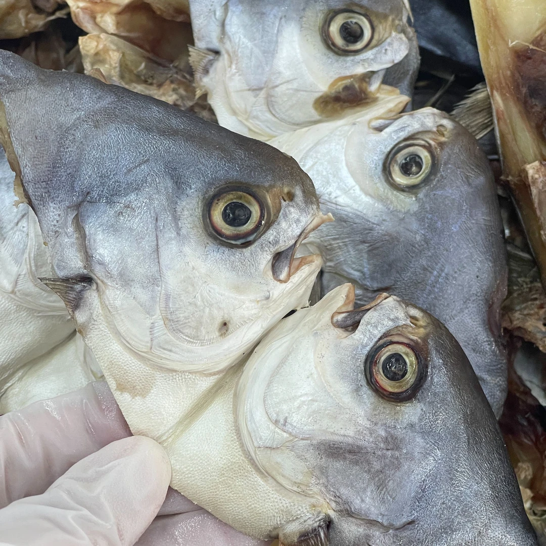 淡晒（金鲳鱼）净鱼头 2斤新晒干货  顺丰冷链 广东特产盒装