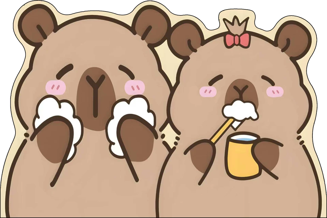 B151-300 [库存尾货] 硅藻泥吸水地垫已直播间展示为准