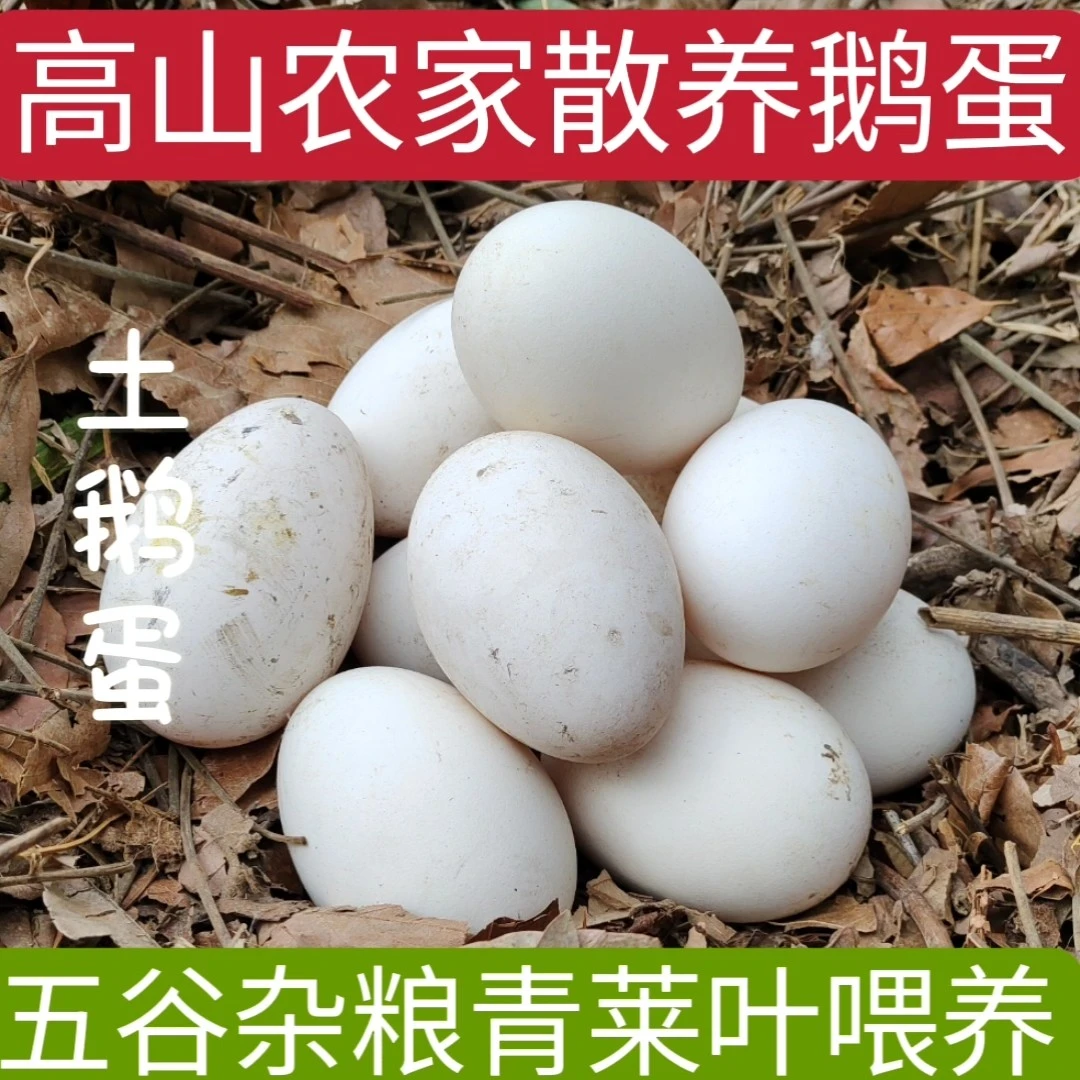 高山农家散养大鹅蛋土鹅蛋鹅蛋大鹅蛋′100g—125g一枚12枚装