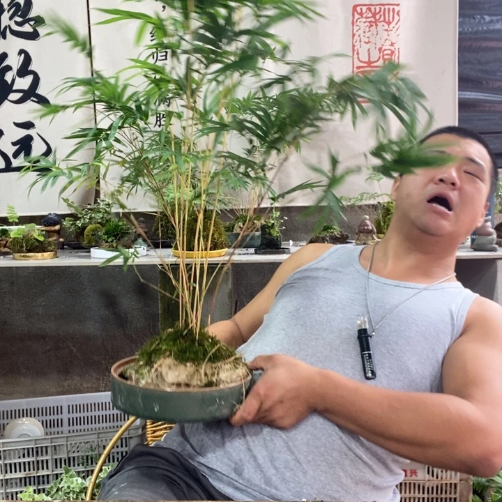 佳***巧无花朵退款拉黑拉黑100