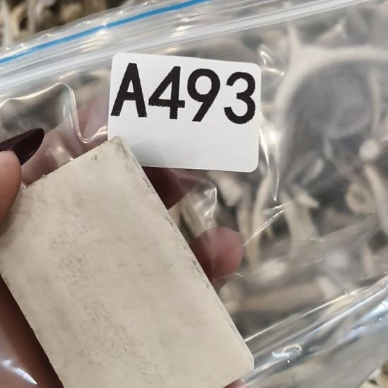 2***5鹿角鹿角鹿角鹿角鹿