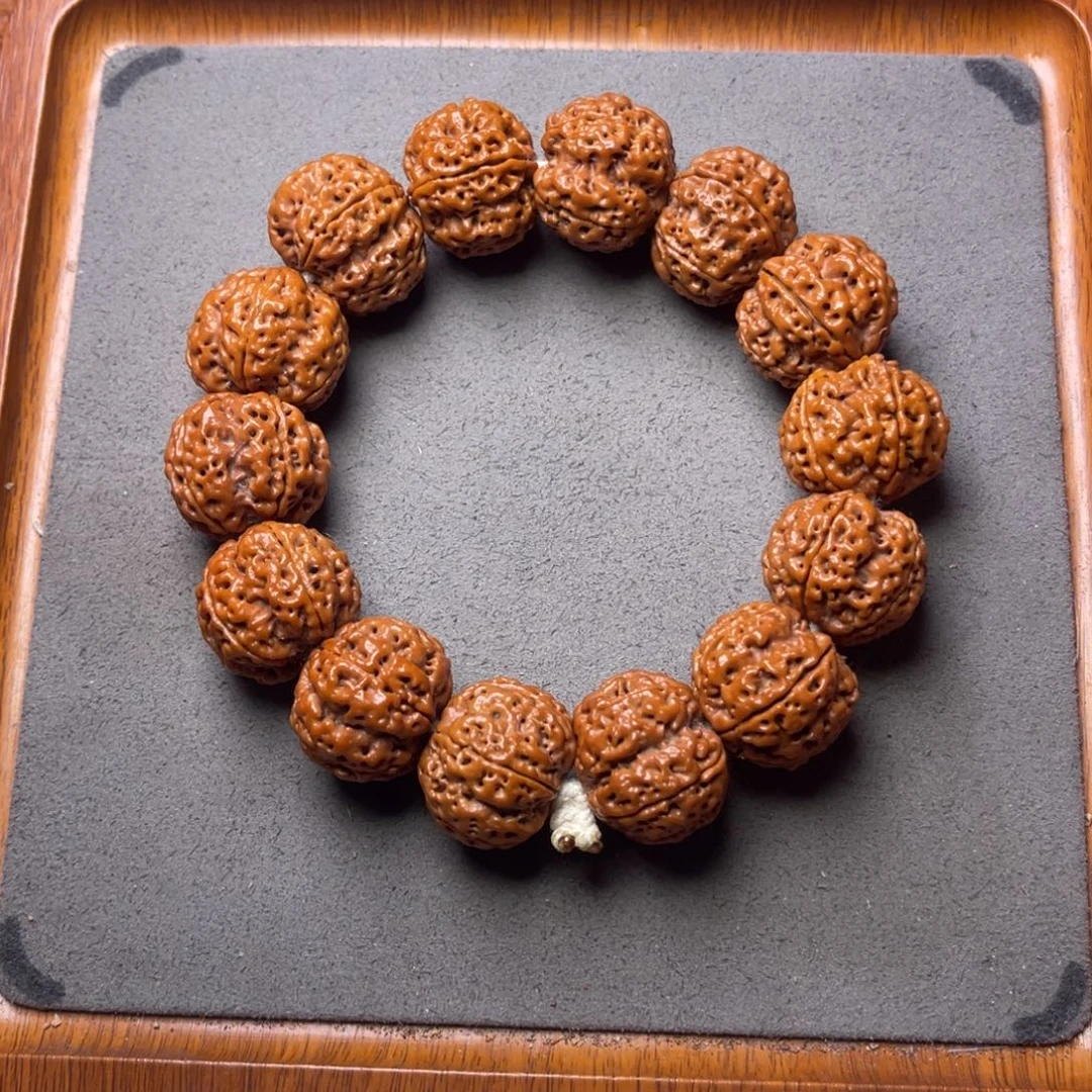 菩提1号金刚菩提梁梅花23+