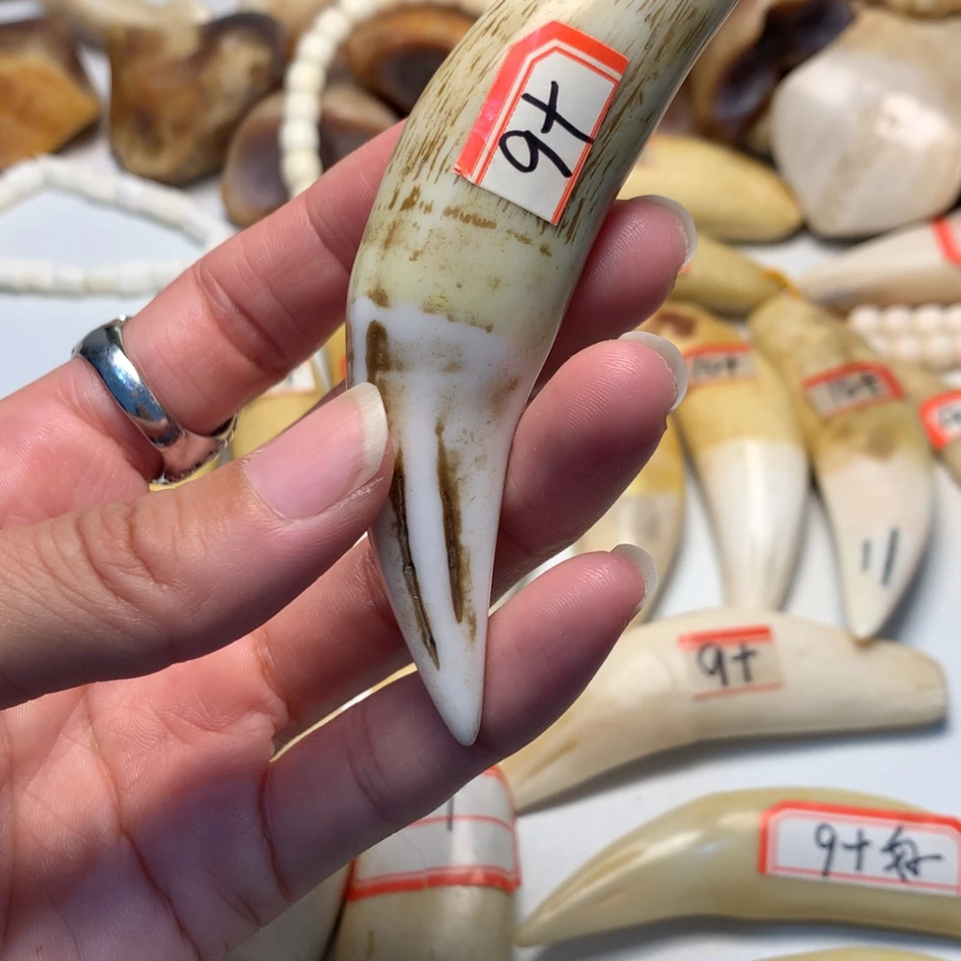驼骨把件驼骨把件深色牙牙