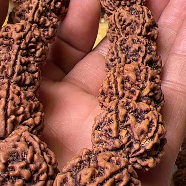 金刚菩提手串22➕麦穗龙