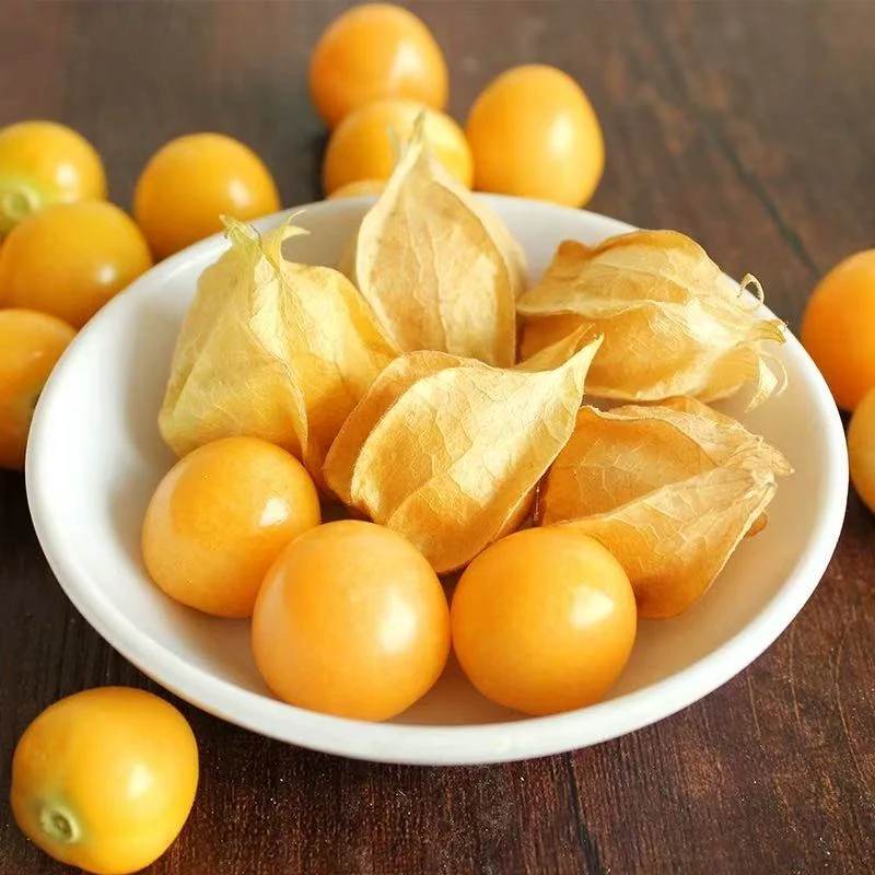 东北姑娘果新鲜水果采摘香甜可口吊干杏当季