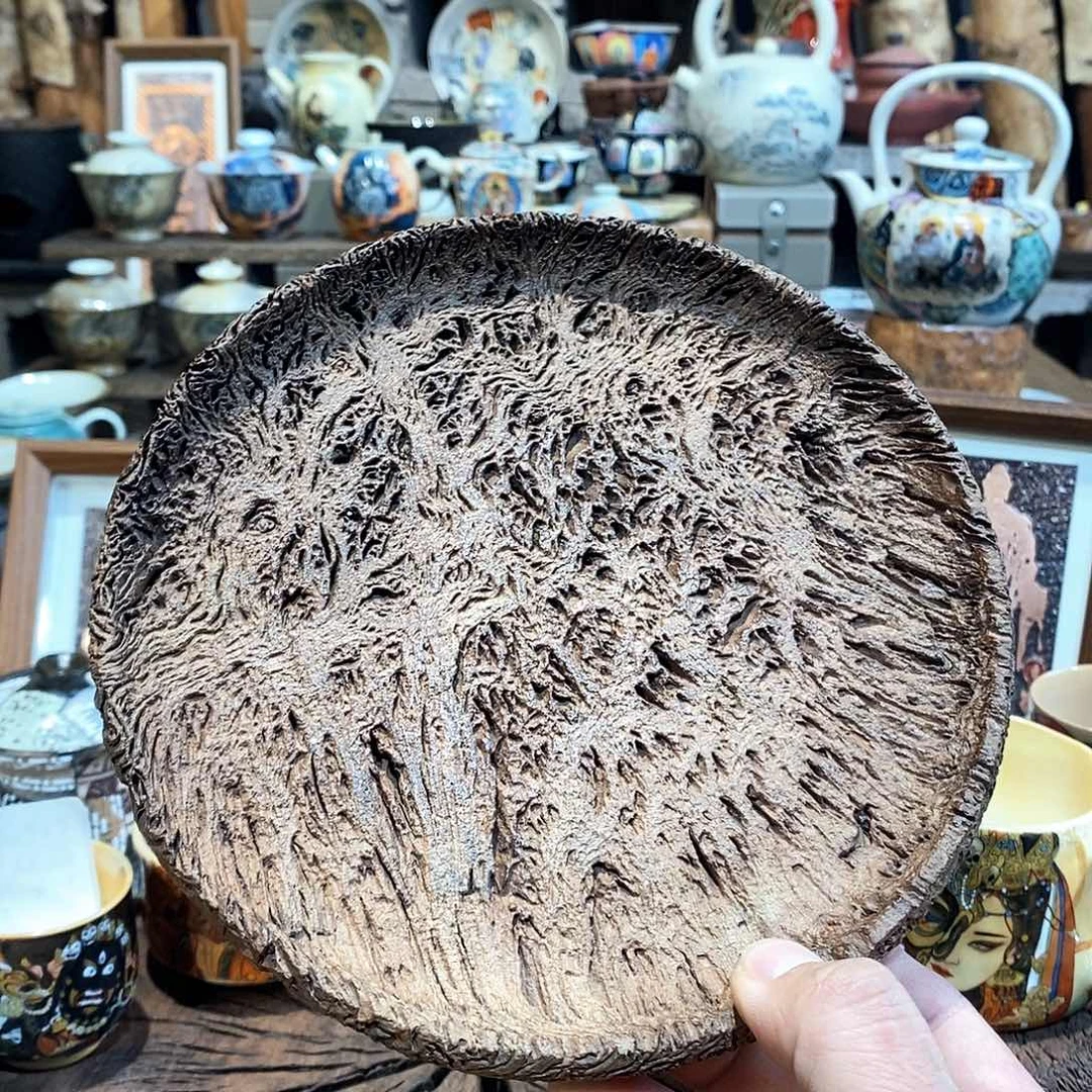 栎木11111111111111111111