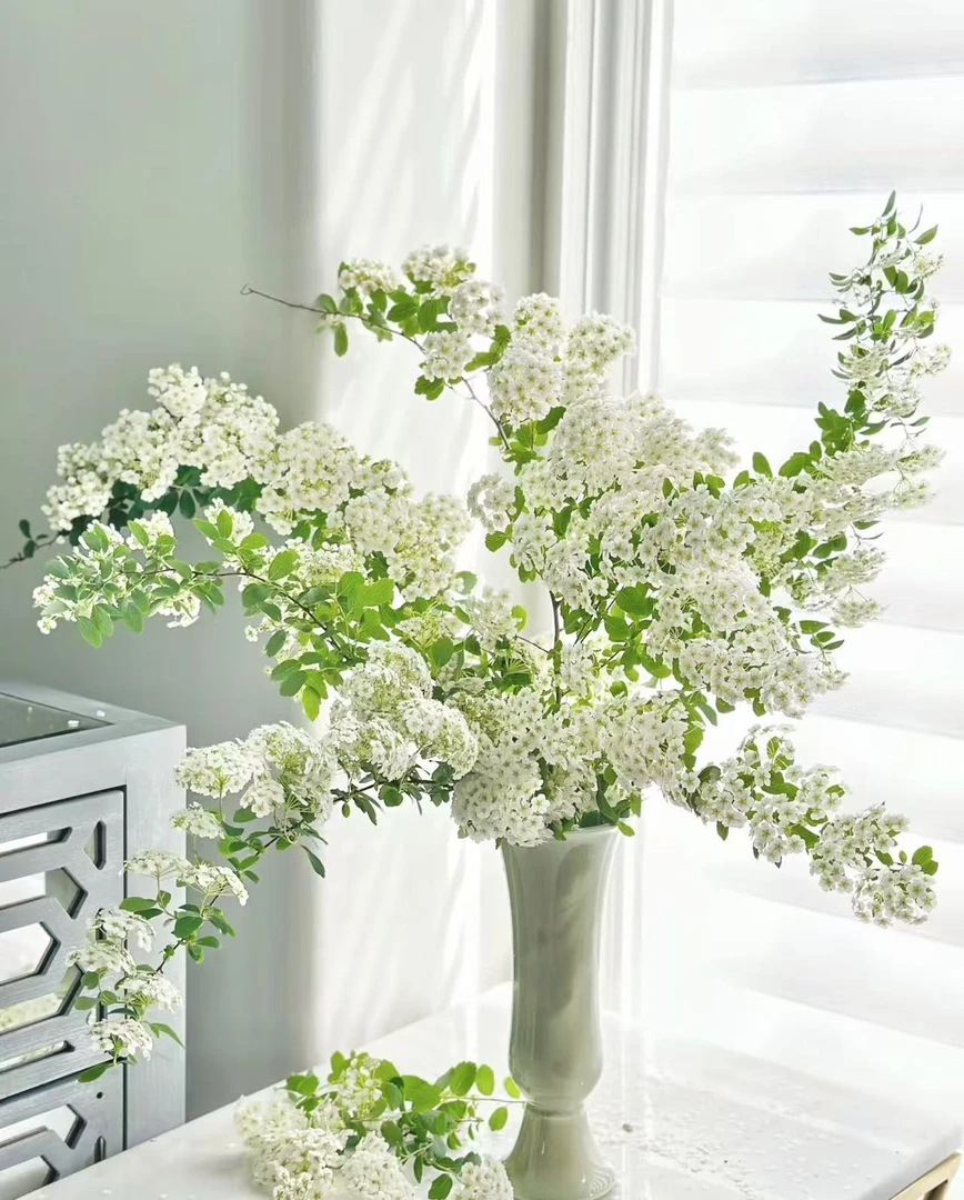 【葡噗花舍】小手球 1扎 （80cm）    云南基地直发
