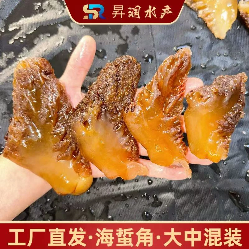 工厂直发·混装大中海蜇角 5斤桶装