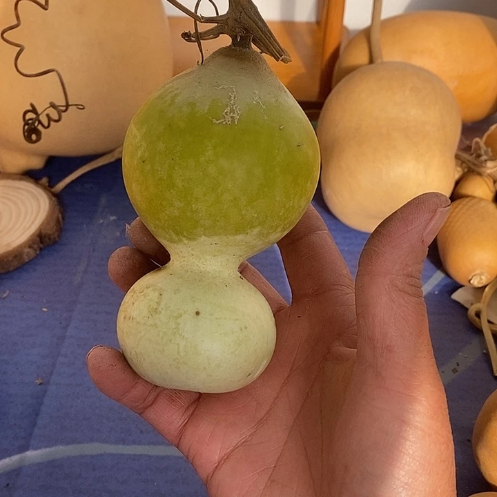 ****青皮葫芦手把件摆件