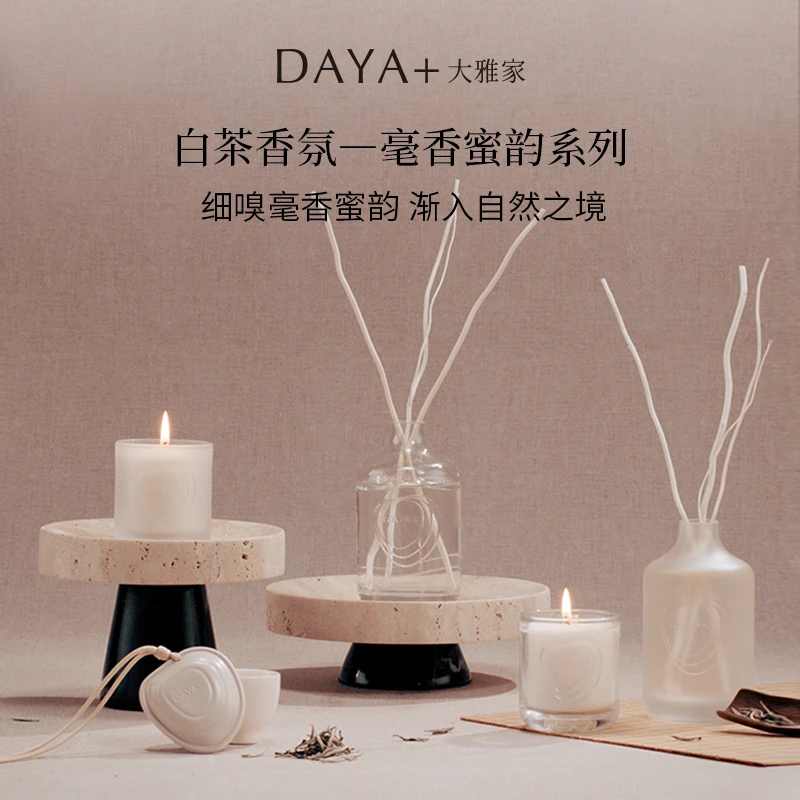 DAYA+大雅家白茶香氛车载无火扩香