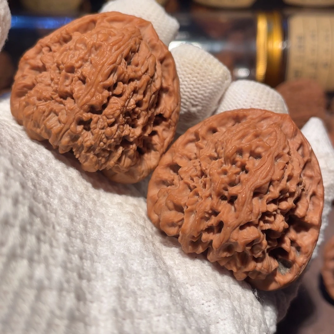 核桃44三角疆jjjjjj