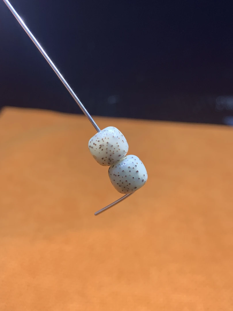 海南会文星月菩提