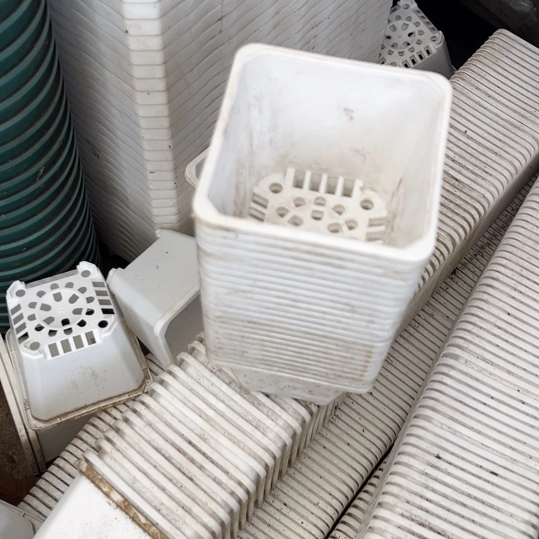 旧口径8.5 高7 白方盆30个