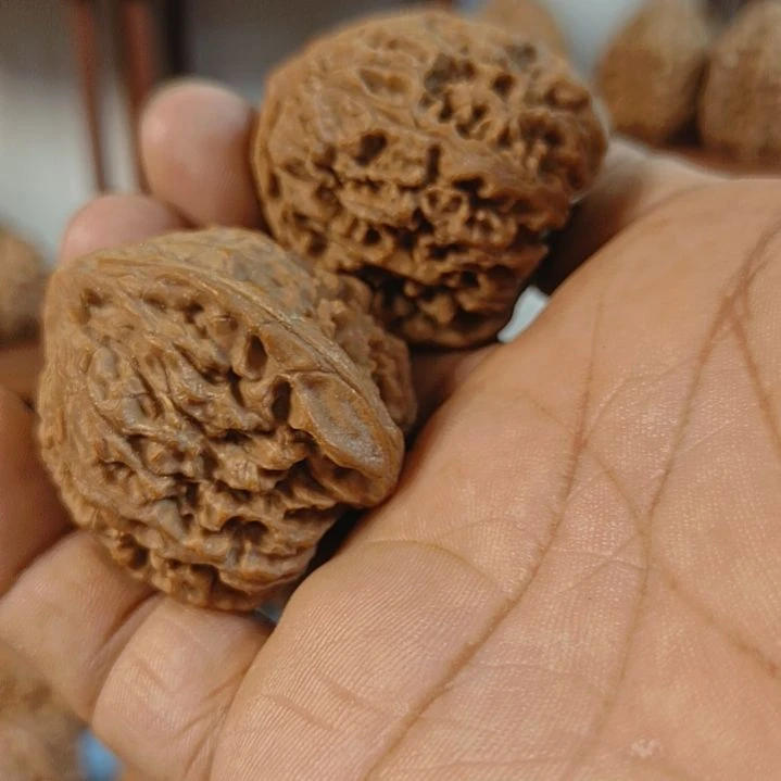 有***人无花朵南疆石核桃