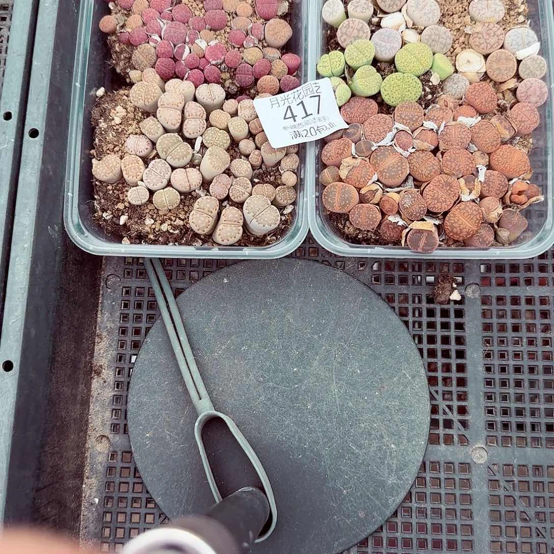 黄*骞这个点睡一回是为了睡懒417