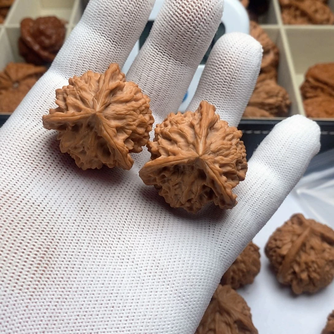 如*将公子帽三棱一对一对