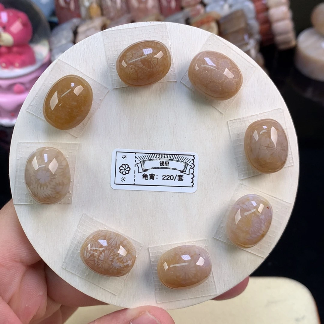 【闪购商品】颈饰未镶嵌硅化珊瑚（珊瑚玉）6号大花花