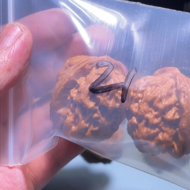 文玩核桃吊坠?***?21e e e