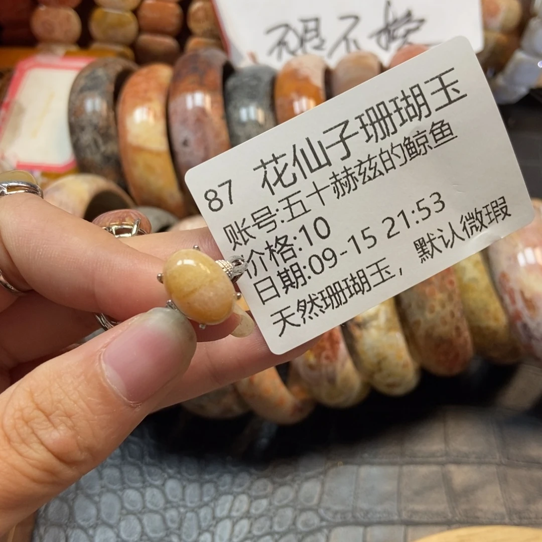 五***鱼未镶嵌硅化珊瑚（珊瑚玉）珠宝半成品87