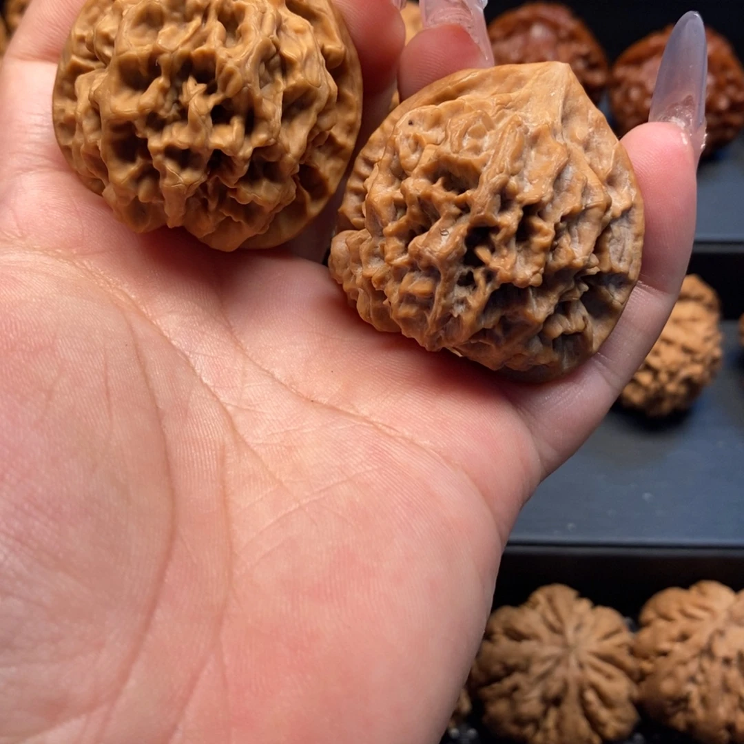 41尺秦岭野生龙纹官帽