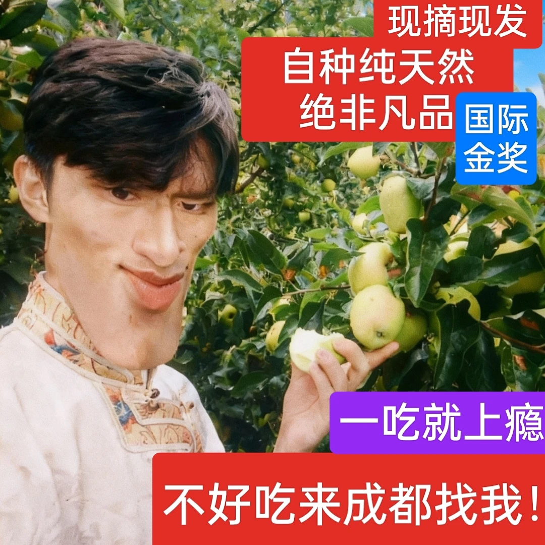 小金苹果高原特产青苹果脆甜新鲜采摘孕妇金冠自然送礼酸甜阿坝州