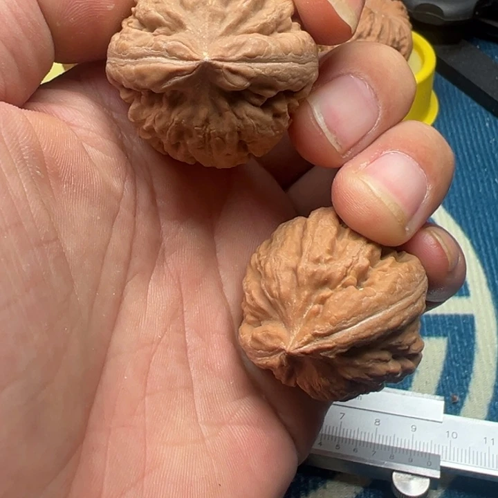 桃核吊坠霸王龙37