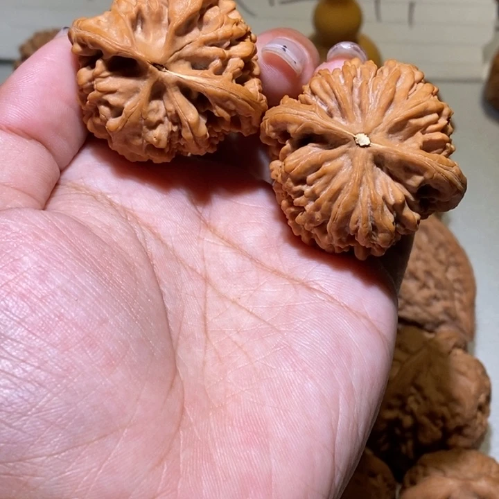 奋***青手串/手链核桃蚂蚁王