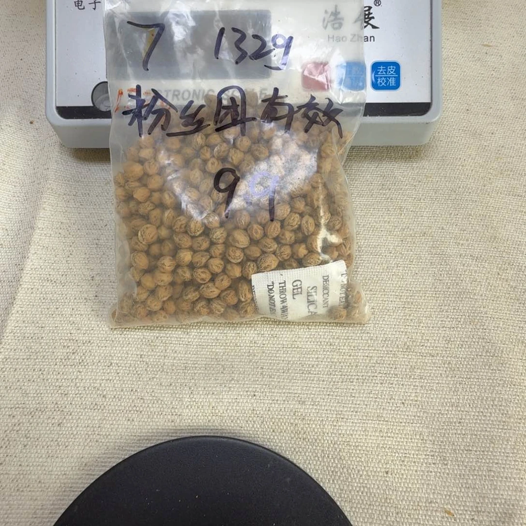 柏香籽/百香籽吊坠?**3