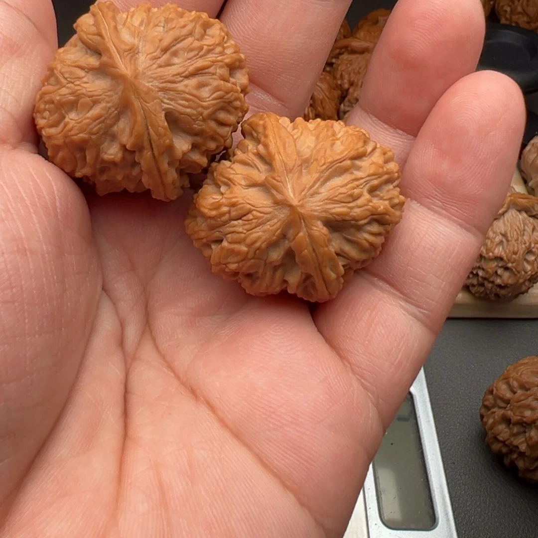 文玩核桃把件銳*龙眼