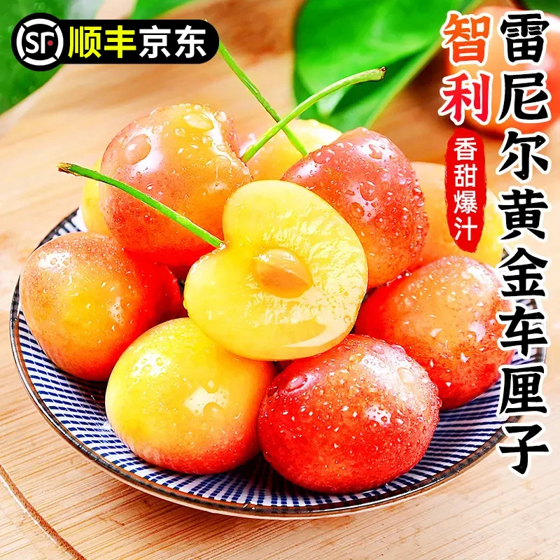 S2【顺丰京东】智利空运黄金车厘子雷尼尔J-5J&0.9-4.4斤内附果径卡