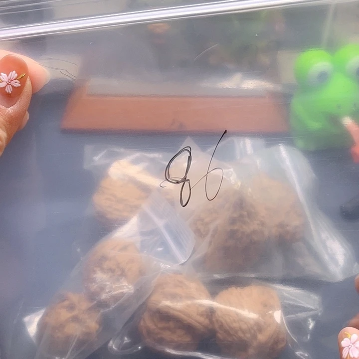 文玩核桃吊坠文玩86